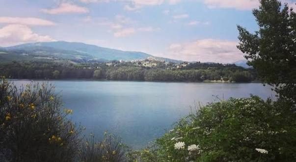 Il Lago di Pietra del Pertusillo visto dalle sponde boscate