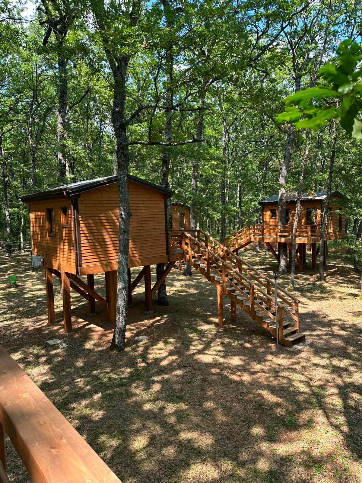 Esterno di una casa sull'albero con scala e veranda in legno